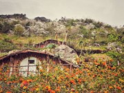 Some of the lovely homestays in the Moc Chau plateau 