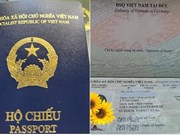  Germany temporarily recognises Vietnam’s new passport version