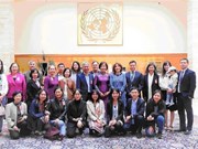 Vietnam engages in UN activities to promote multilateralism  ​