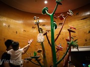 Hanoi museum displays specimens of life detailing 3.6 billion years 