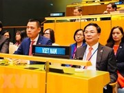 Vietnam elected to UN Human Rights Council