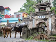 Ancient village on Hanoi’s outskirts preserves its traces in time