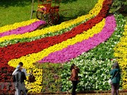 Da Lat Flower Festival kicks off