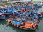 Quang Ngai working to lift EC’s “yellow card” on illegal fishing