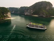 Exploring the beauty of Vietnam’s forgotten Lan Ha Bay 