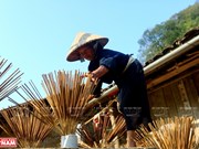 Phia Thap incense village in Cao Bang province