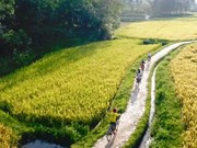 Agrotourism breathes fresh air to rural development