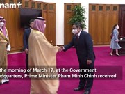 Vietnam and Saudi Arabia promote bilateral relations