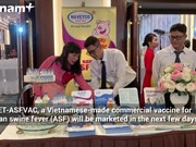 Viet Nam successfully produces African swine fever vaccine