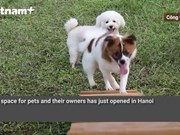 What's in the first "pet" park in Hanoi?