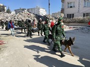 Vietnam's search and rescue dogs discover multiple earthquake victim sites
