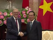 Vietnam is Australia's "top priority partner" in the region