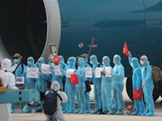  219 Vietnamese citizens brought home from Equatorial Guinea