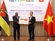 Vietnam presents medical supplies to African nations