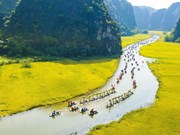 Vietnam hits peak time for domestic tourism