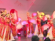 Vietnamese culture shines in French locality