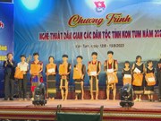 Promoting cultural values among ethnic minority youth  ​