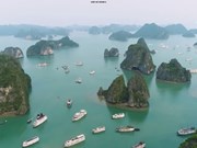 Ha Long Bay-Cat Ba Archipelago recognised as world heritage