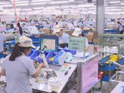 Vietnam’s overseas investment up 4.6% during nine months
