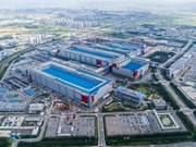 Vietnam holds large potential to develop semiconductor