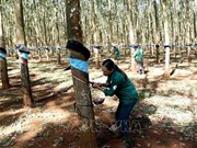 Rubber group aims for higher profit in 2024