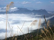 Ideal cloud-hunting spot in northern mountainous Lai Chau province