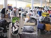 Vietnam flies over 300 citizens from Russia  home
