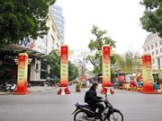 Hanoi Book Street given new look during Lunar New Year