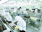 OECD forecasts Vietnam’s economic growth at 6.5% in 2023