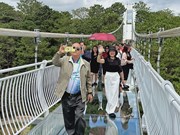 First glass bridge opens in Da Lat