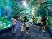 Aquatic wonders at Lotte World Hanoi Aquarium