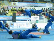 Vietnamese martial art recognised as intangible cultural heritage