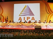 Vietnam actively contributes to building AIPA