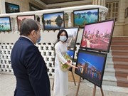Art exhibition bridges Vietnam and Egypt