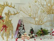 Christmas trees bring hope to disadvantaged kids