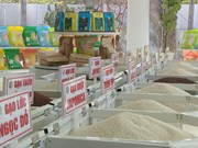 Rice exports expected to hit 5 billion USD this year