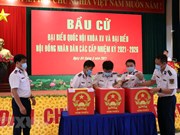 Ba Ria – Vung Tau holds early voting for officers, soldiers on offshore station