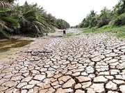 Mekong Delta province faces severe drought 
