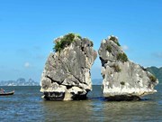 Magnificent landscape of Ha Long Bay