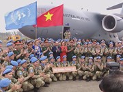 Vietnam sends military engineers to join UN missions 