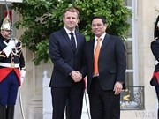 Diplomatic sector gains important achievements during ‘Doi Moi’ process