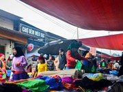 Meo Vac flea market - a unique cultural trait in mountainous area