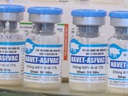 Vietnam’s African swine fever vaccine export makes headlines in RoK