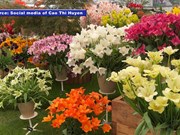Overseas Vietnamese shines at int’l floral competition
