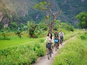 Sustainable tourism an inevitable trend: Insiders