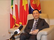 Vietnam-Vatican relations see positive progress: Ambassador