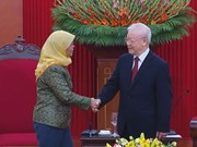 Vietnam-Singapore relationship at its prime