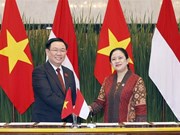 Vietnam attaches importance to promoting ties with Indonesia: NA Chairman