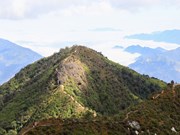 Beautiful route to Ta Xua Peak