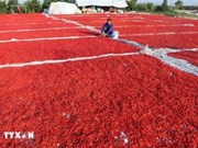 Hoa Binh ships inaugural batch of pickled chili peppers to RoK